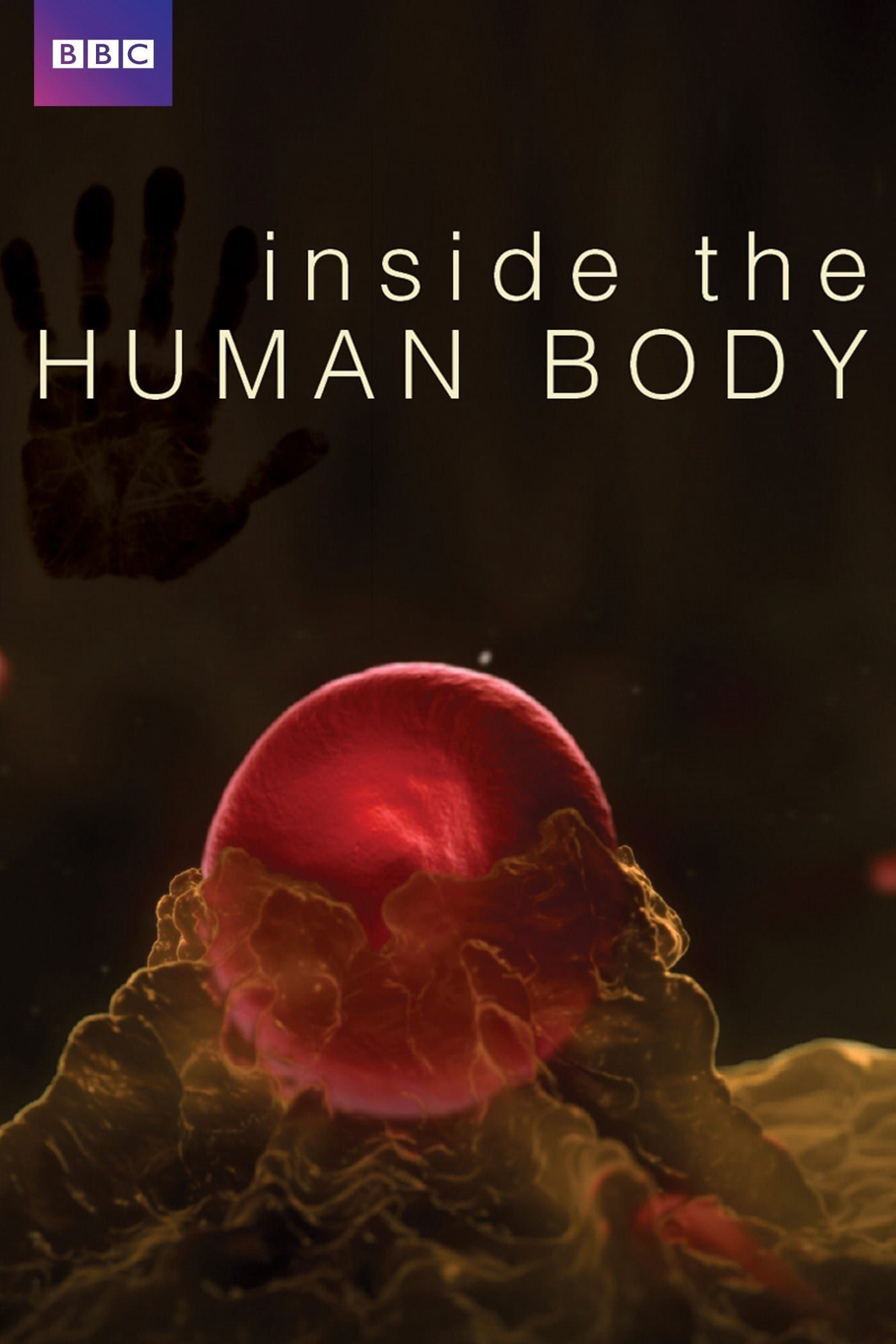 Inside the Human Body (Inside the Human Body) [2011]