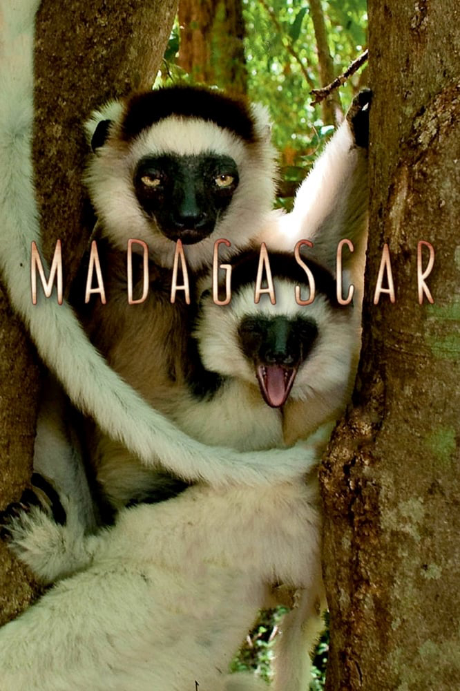 Madagascar 2011 (Madagascar) [2011]