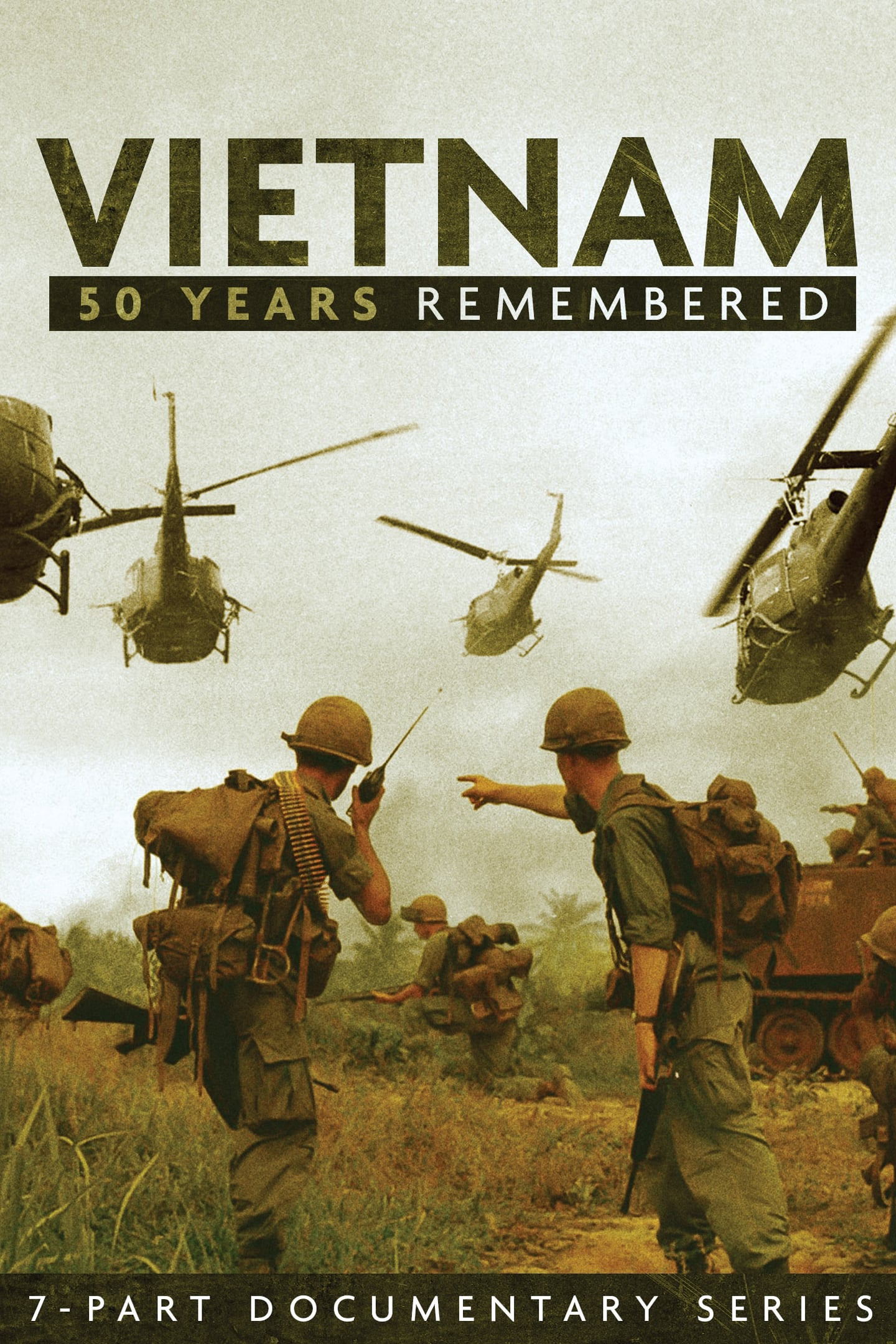 Vietnam: 50 Years Remembered (Vietnam: 50 Years Remembered) [2015]